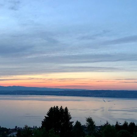 Апартаменти Les Vies En Rose Евіан-ле-Бен Екстер'єр фото